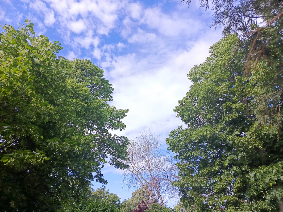 Утреннее небо над набережной