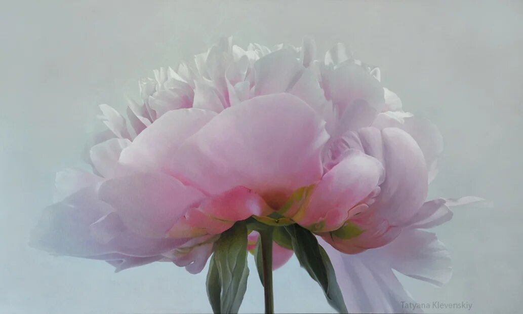 Источник: klevenskiy.com