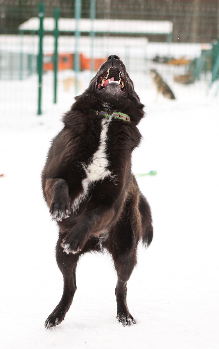 Танцую от счастья!
