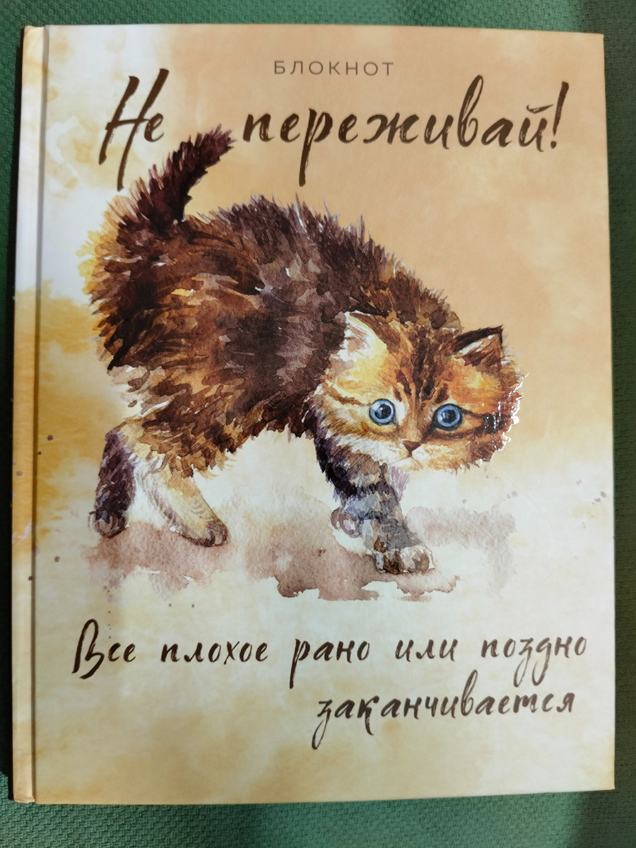 Это последний пока что блокнот, в котором я сейчас веду записи