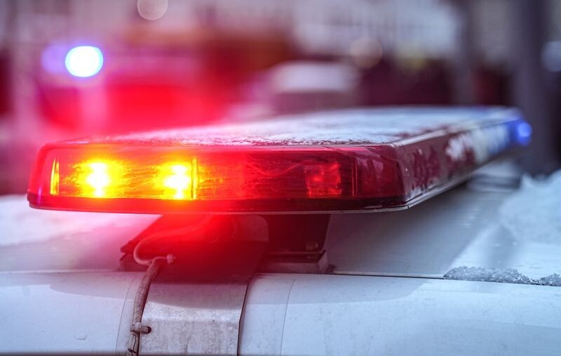     / Источник: ©ИЗВЕСТИЯ/Павел Волков