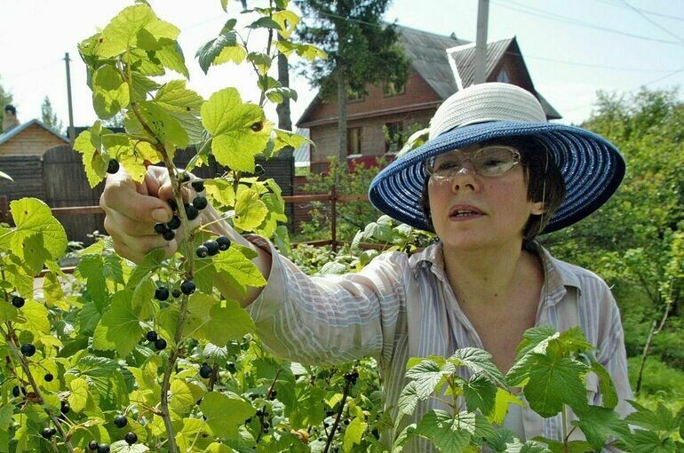   Тимур Ханов/ПГ