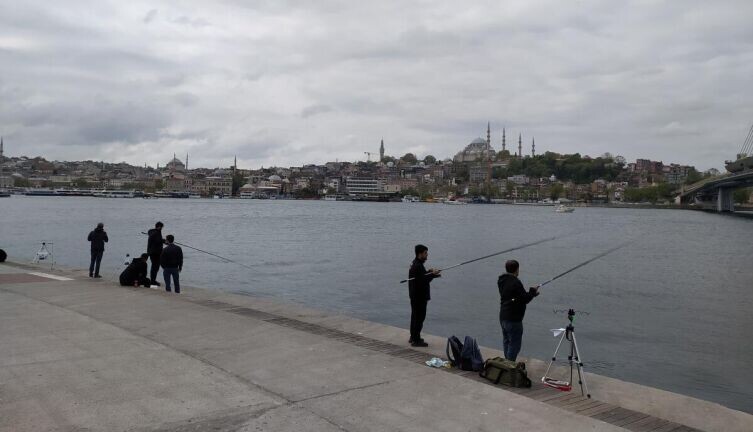     Фото: личный архив автора