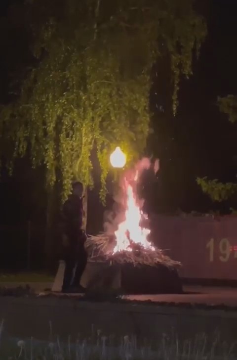 скрин видео