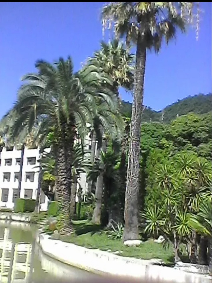 Личное  фото. 