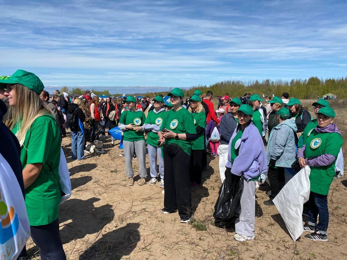    Фото: Комитет по природопользованию Петербурга