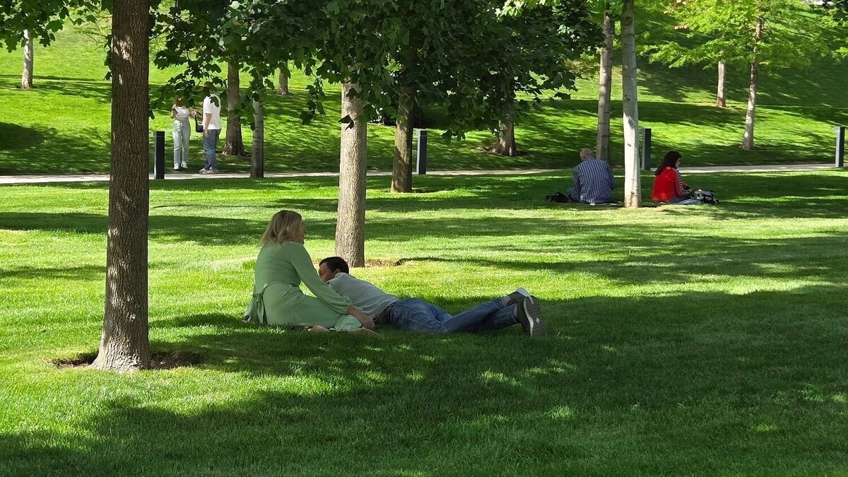     Автор: KubanPress