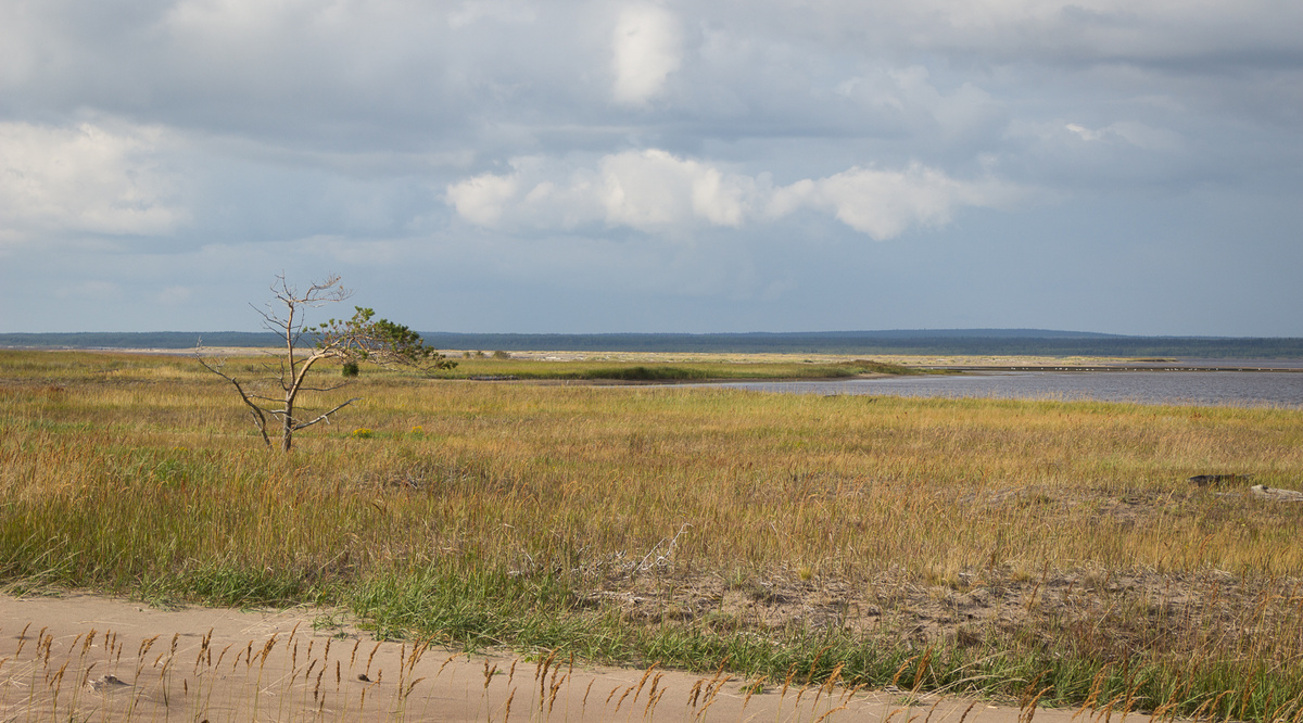 Зимний берег Белого моря, за островом Мудьюг.