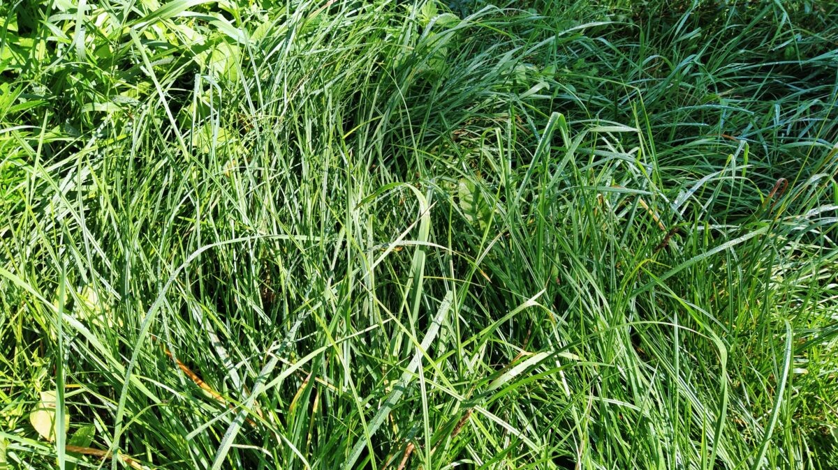    Фото: Екатерина Иванова. UG.RU