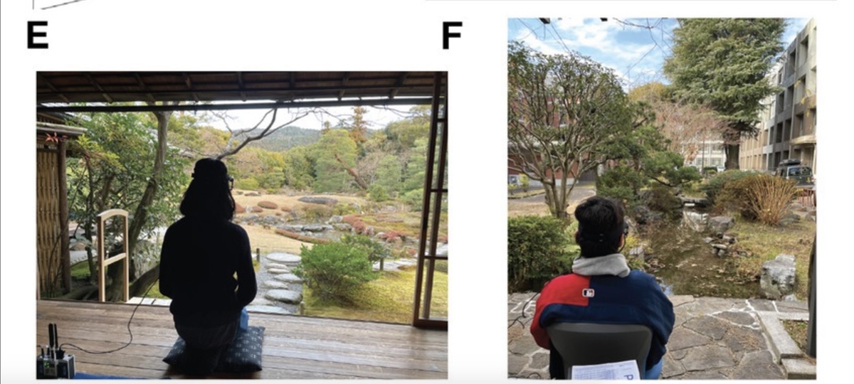 (E) Фотография точки обзора сада Мурин-ан со стороны субъекта. (F) Фотография, иллюстрирующая точку обзора сада Киотского университета со стороны субъекта.