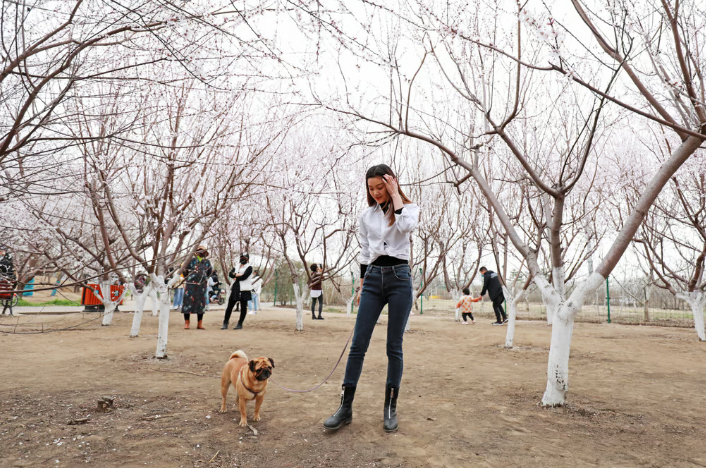 Почему не выпустить собаку погулять в парке? она будет счастливее, чем на дорожке