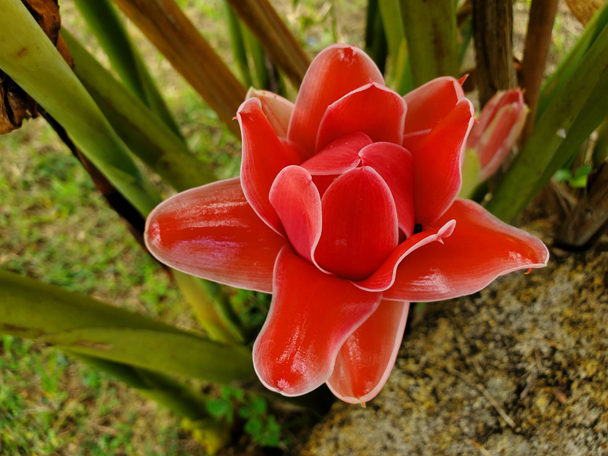 Как всегда, девочкам.