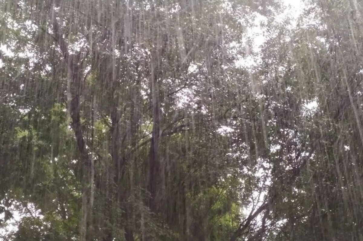    Жару сменили ливни: какая погода будет в Хабаровске и крае 18 мая