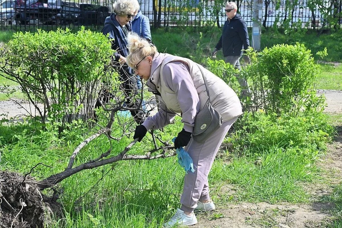    Почти 24 тысячи жителей Хабаровска приняли участие в субботнике 17 мая