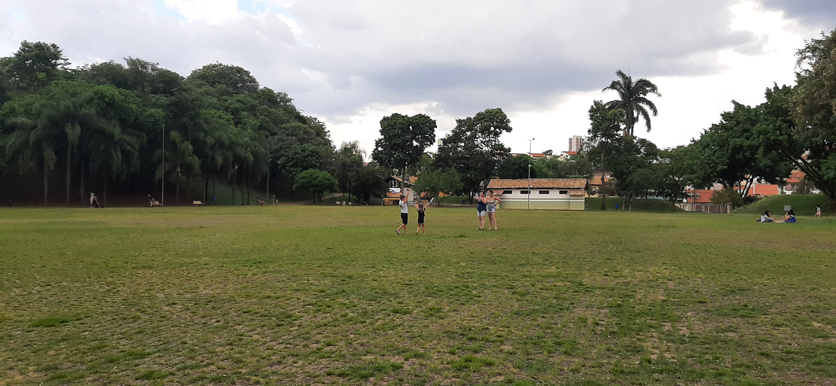 Кампинас, штат Сан-Паулу.