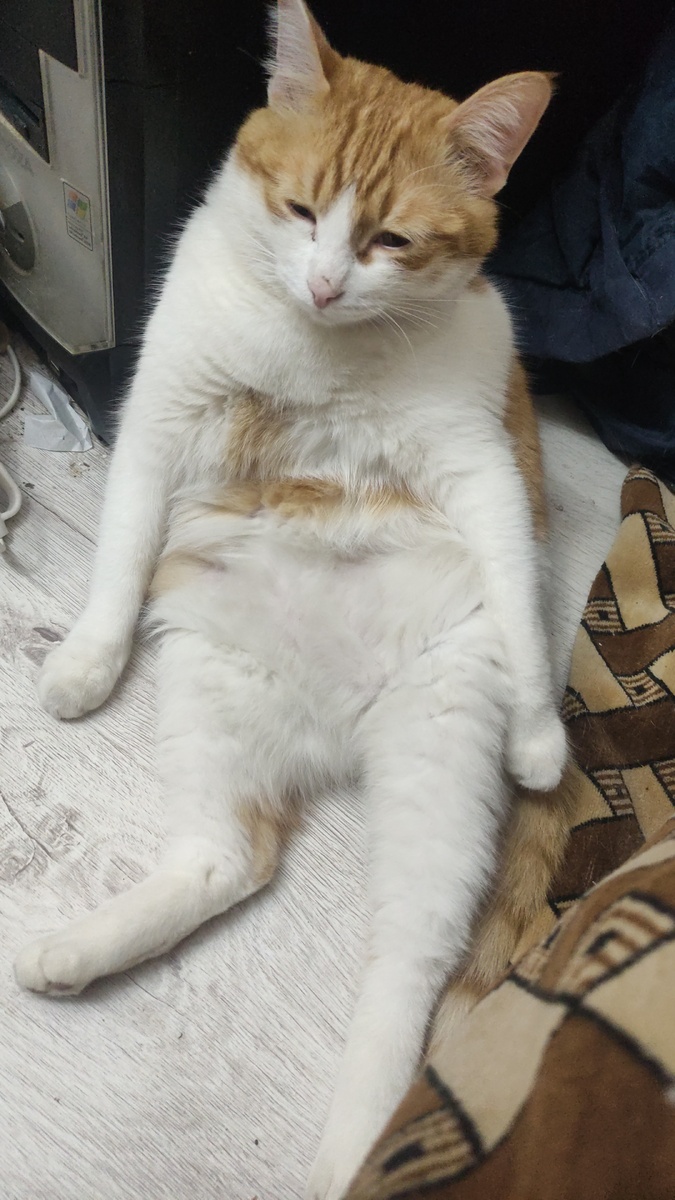 Фото автора