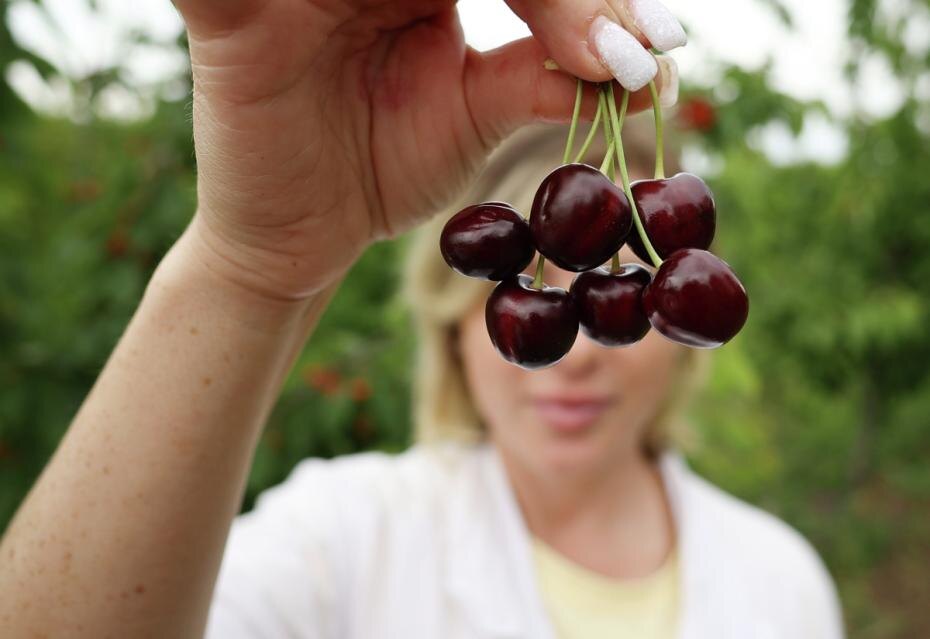    Виталий Тимкив/РИА Новости