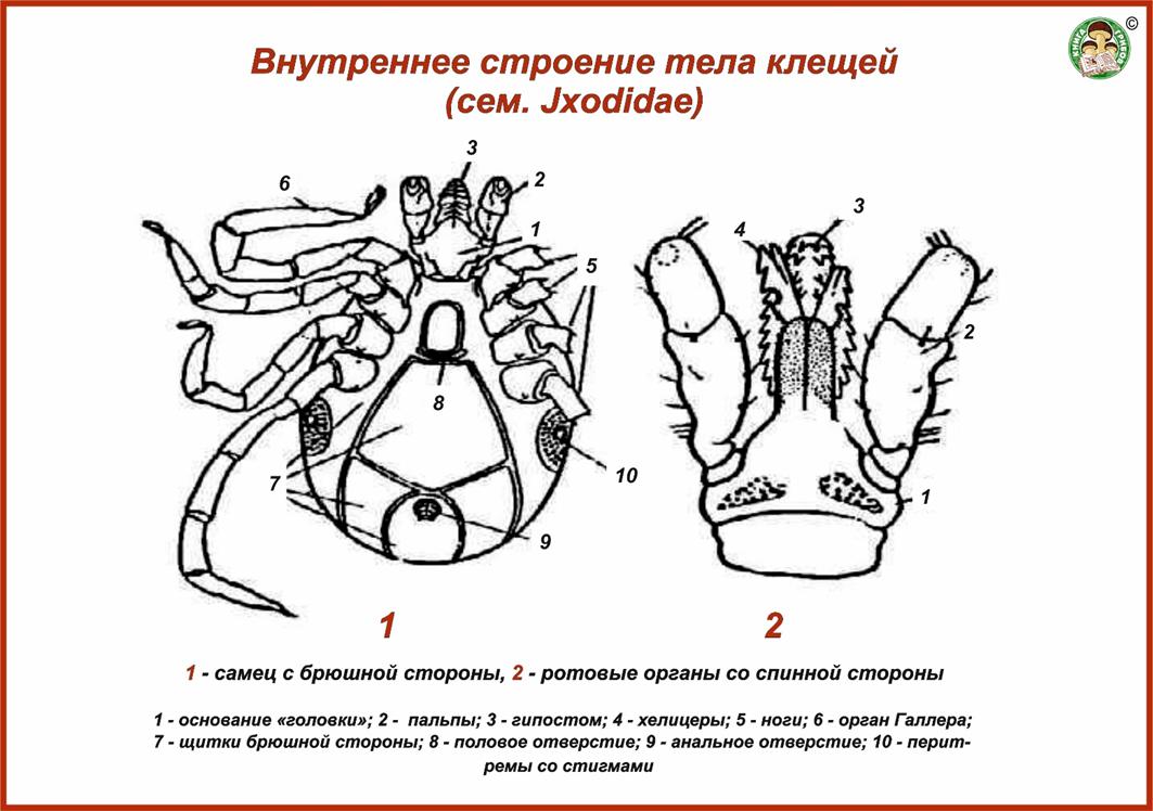 Подробности устройсва 
