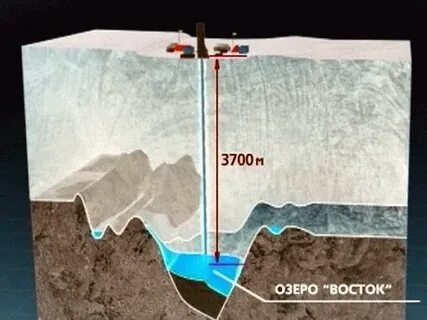 Фото из свободного доступа в интернет 