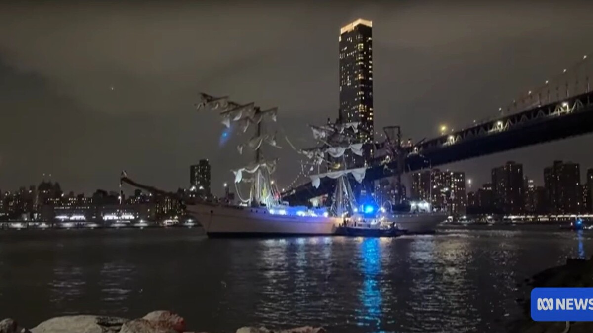    Кадр видео канала ABC News (Australia)/www.youtube.com/watch?v=o2zjjRXcMzs