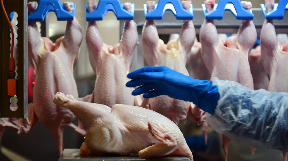 За четыре месяца 2025 года в Марий Эл произвели 118,4 тысяч тонн скота и птицы.📷Фото: Влад Некрасов / Коммерсантъ