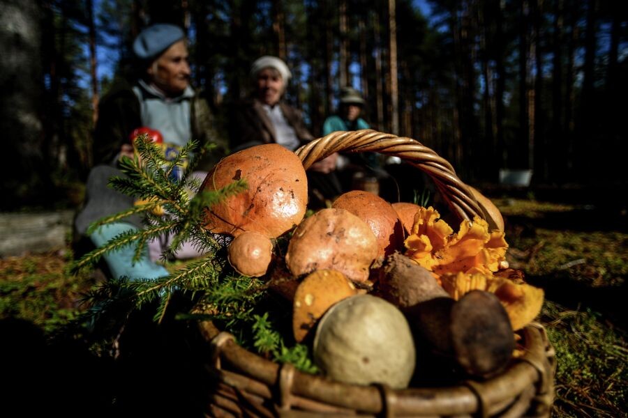     / Источник: © Константин Чалабов/РИА Новости