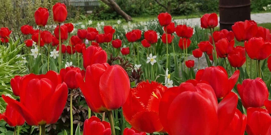 Красочный репортаж