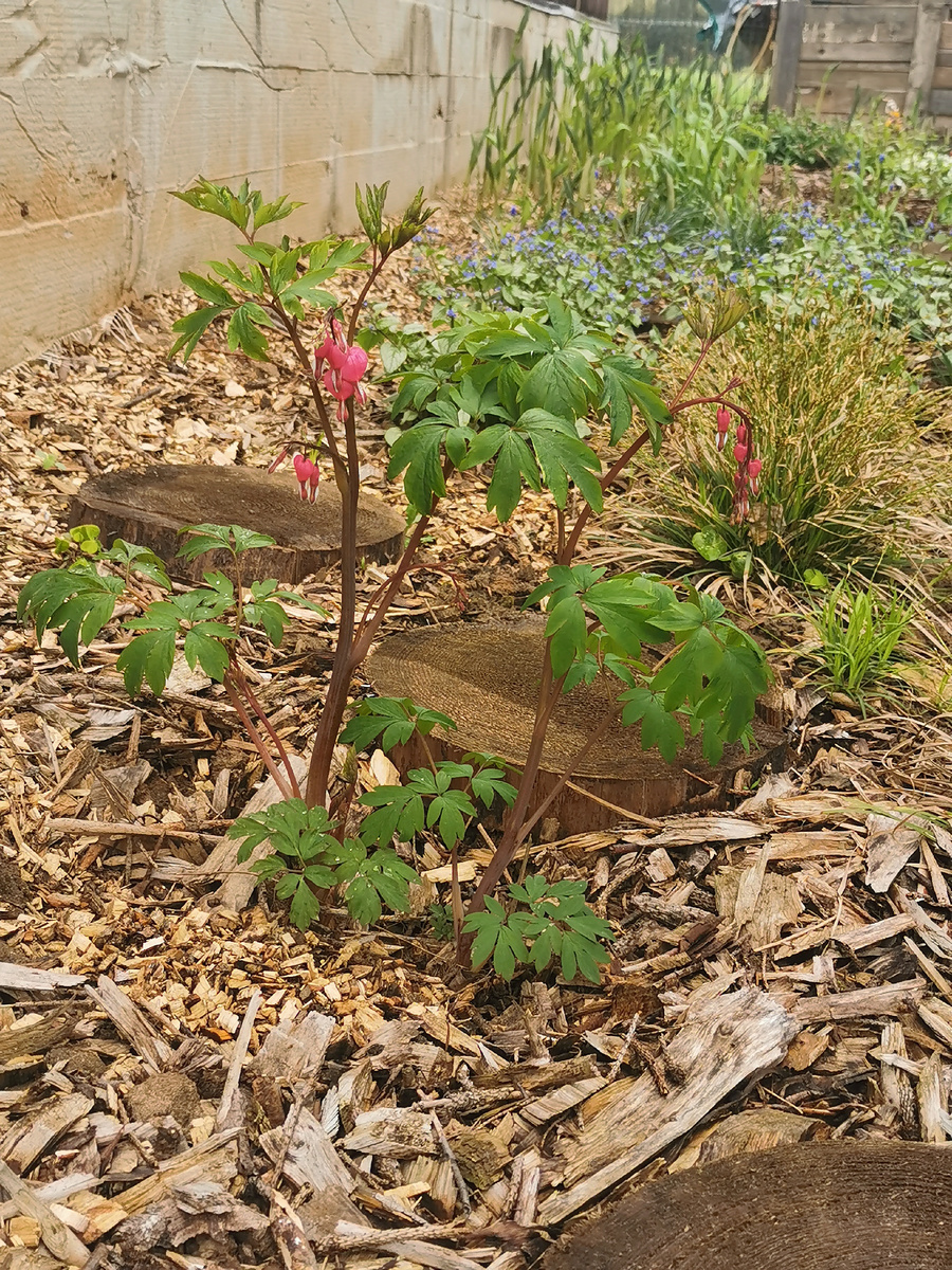 Как она сюда вернулась? 