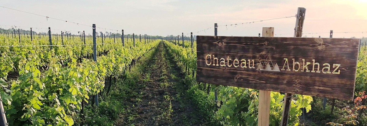 Фото с сайта https://www.globalalco.ru/item/Abkhazian-Champagne-Brut-36310
