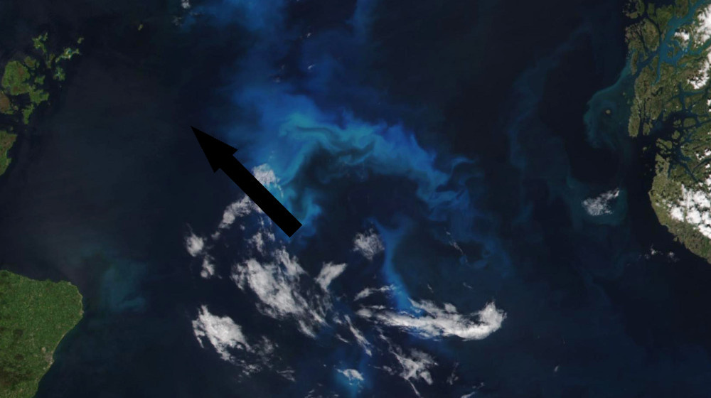    Тайна подводных молний Саргассова моря разгадана или очередной миф рыбаков