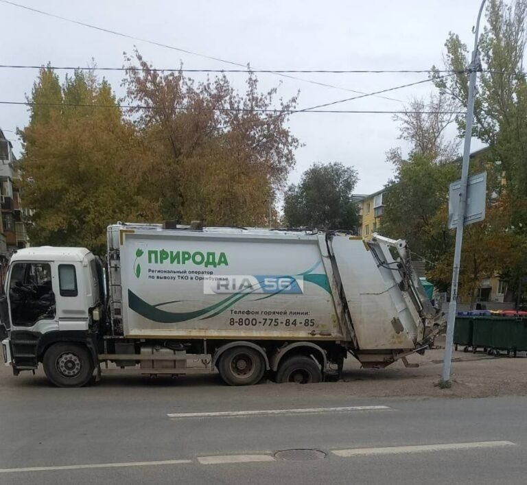    Крыс травить, мусор вывозить. Солнцев взял на контроль и жалоб от оренбуржцев уже меньше Белов Михаил Александрович