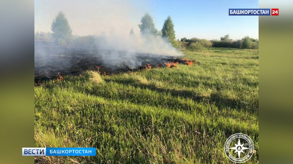    В городе Агидель в Башкортостане загорелась сухая трава