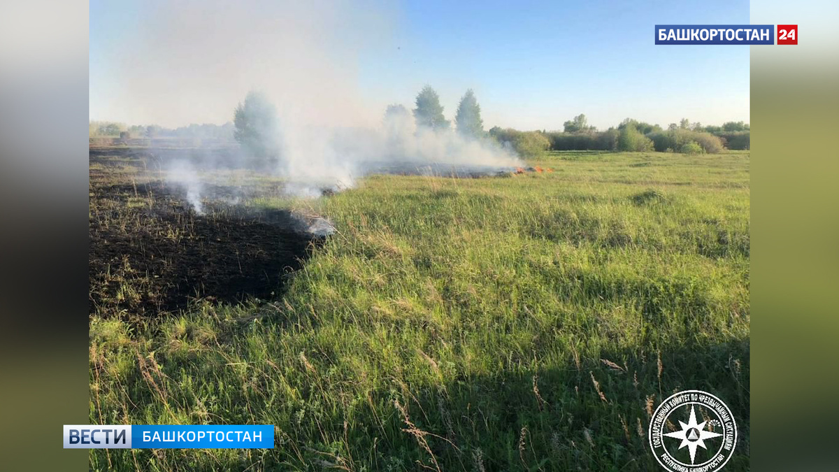    В городе Агидель в Башкортостане загорелась сухая трава