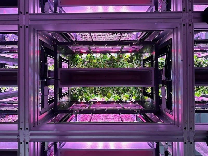 Изображение: AutoStore  📷
