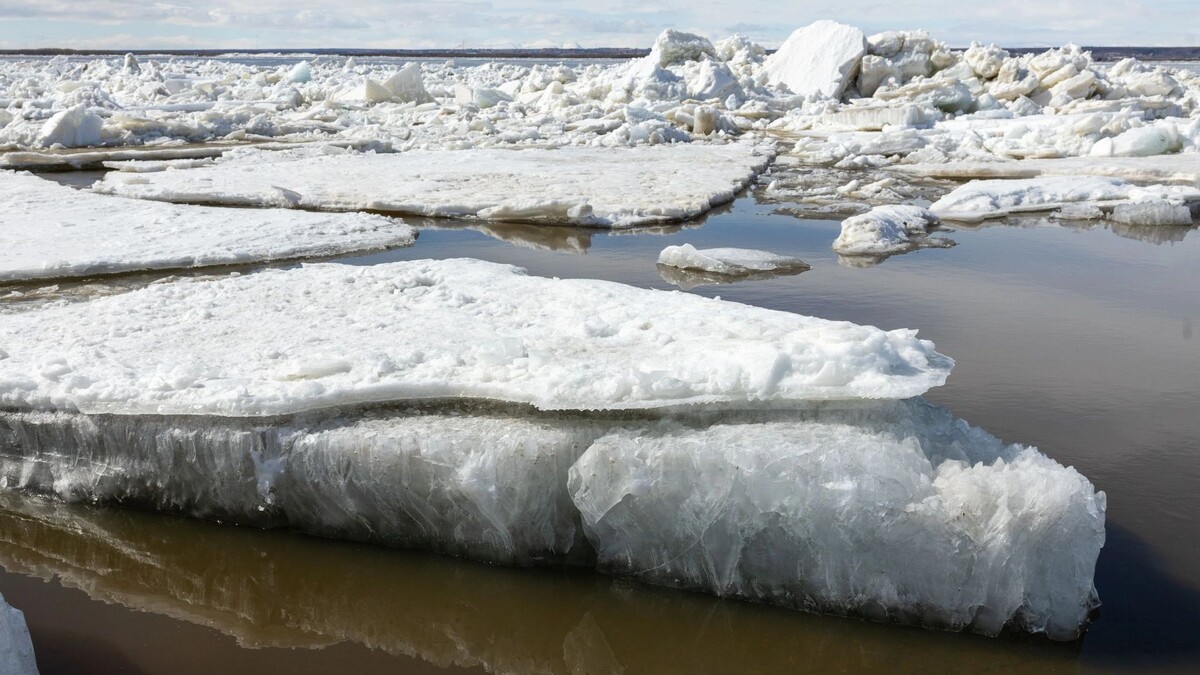    Фото: Федор Воронов /«Ямал-Медиа»