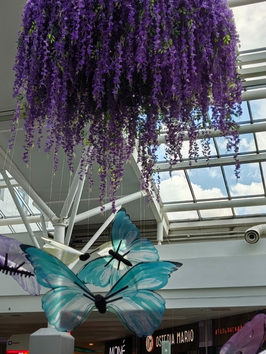 На фудкорте: цветущая лаванда вниз головой и вокруг неё бабочки крылышками бяк-бяк-бяк-бяк )) Симпатично, наводит на философские мысли опять же.  