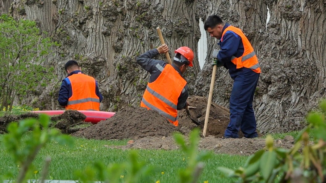    Фото: Shatokhina Natalia/Globallookpress.