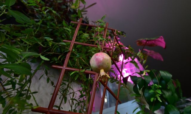     Автор фото: Виталий ГАРКУША