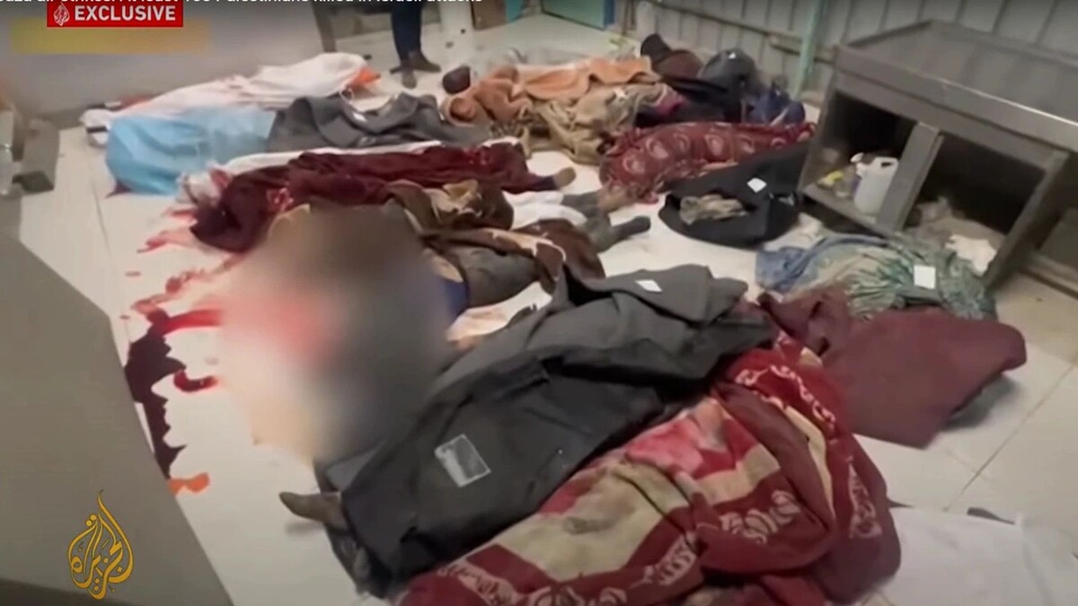    Кадр видео канала Al Jazeera English/www.youtube.com/watch?v=m3pOfAC81DI