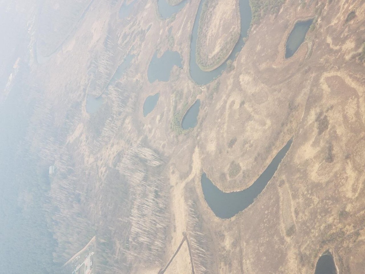 Вот так наша Земля улыбается с неба