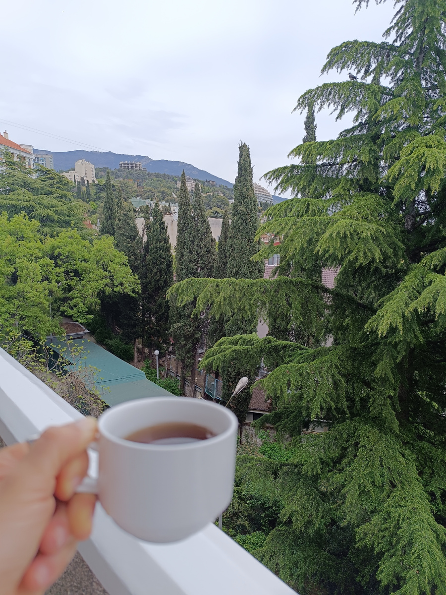 Вид из столовой