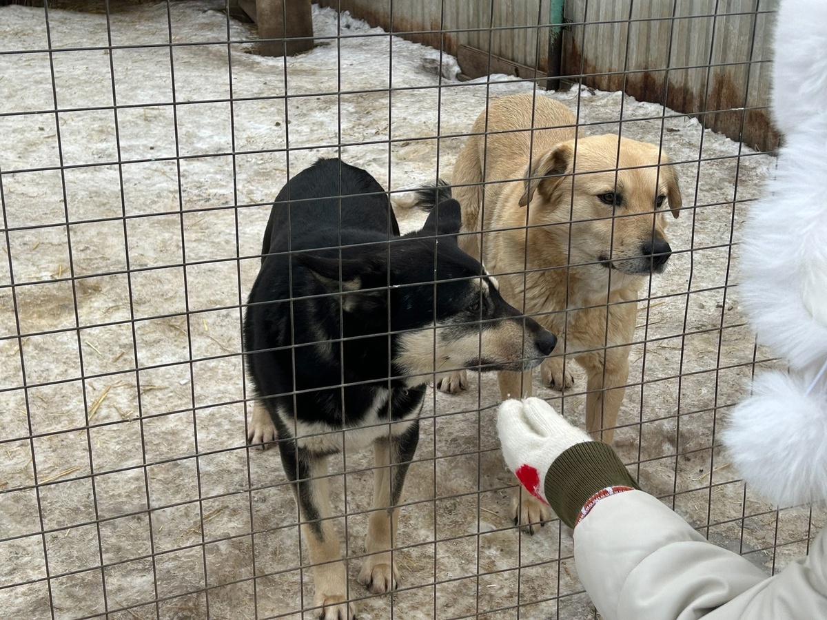    Фото: архив progorod