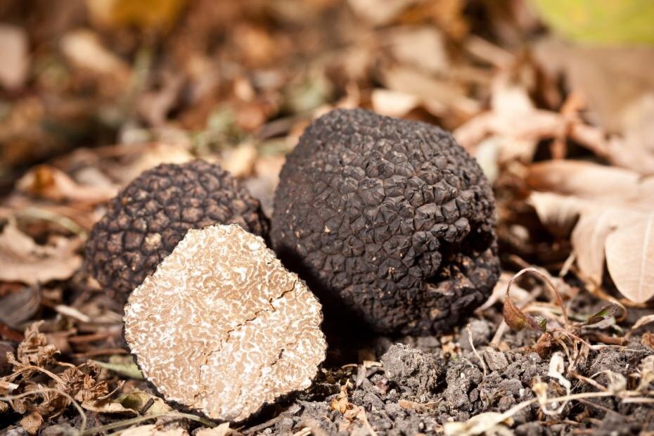    Shutterstock/FOTODOM