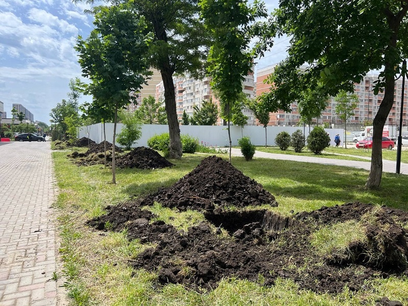    Фото: пресс-служба администрации Краснодара