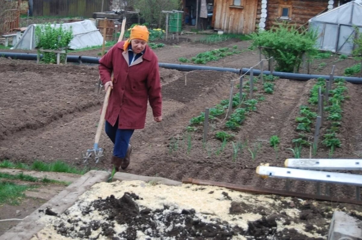    Земля – всему начало.