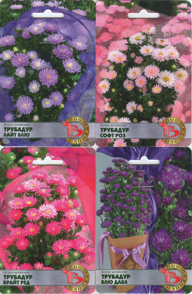 Астра "Трубадур"