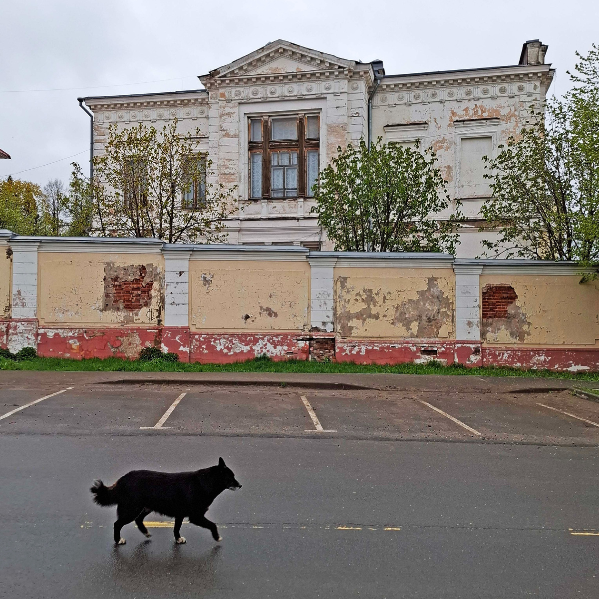 Шуя, ул. 1-я Московская, 38, Дом Павлова. Фото автора. Внутри он роскошный, позже покажу.