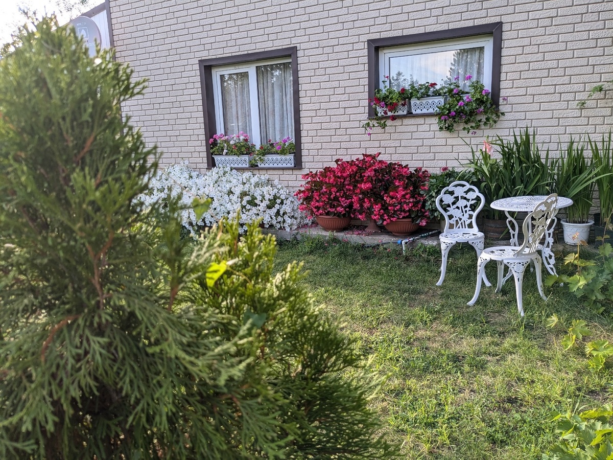 Цветы на карнизе - это красиво, но...