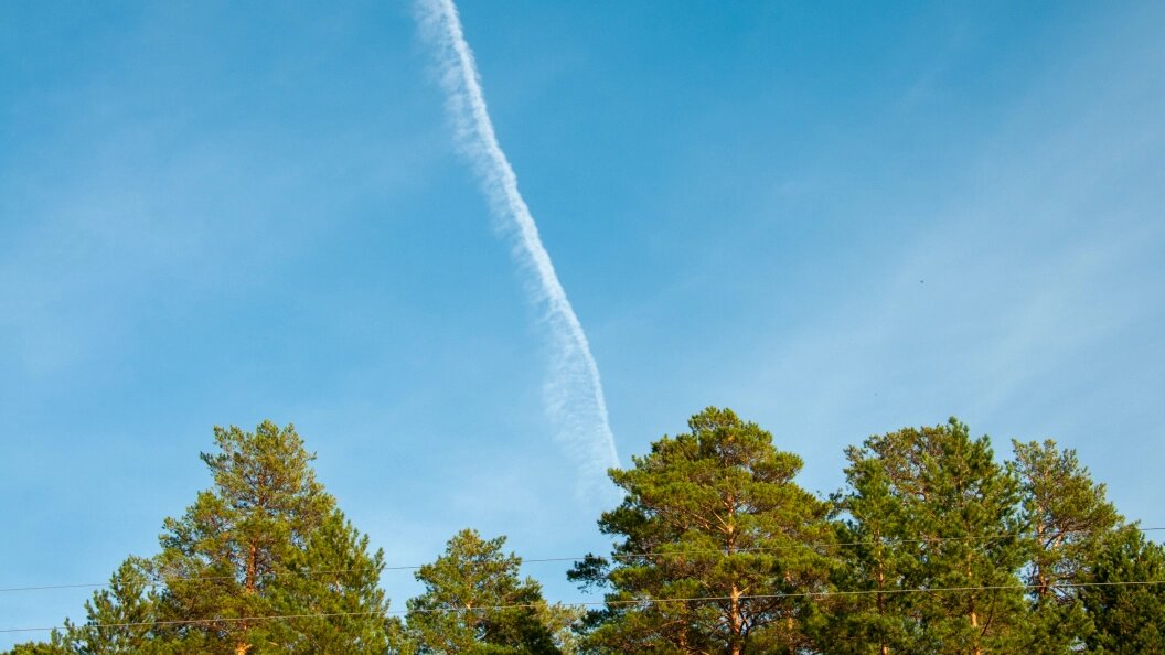    Фото: Svetlana Vozmilova/Globallookpress.