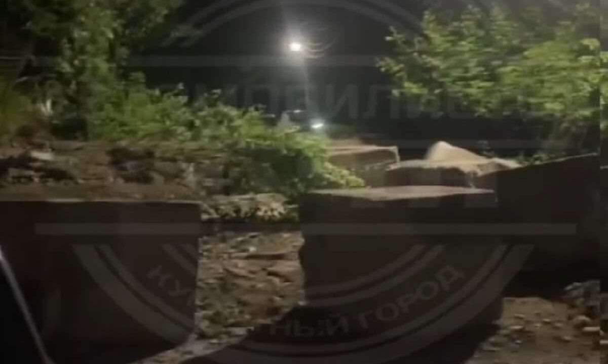    Скриншот видео t.me/sochitypical